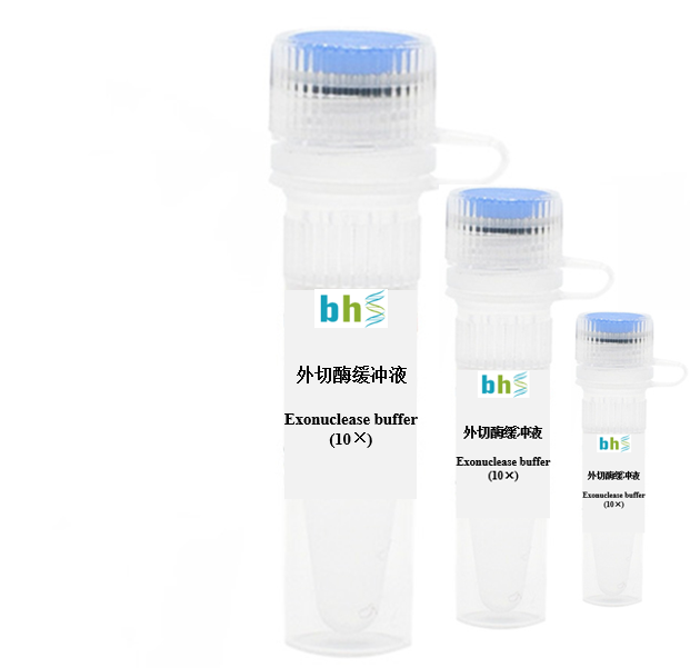 BR00001 外切酶缓冲液 Exonuclease buffer (10×)，pH 7.5