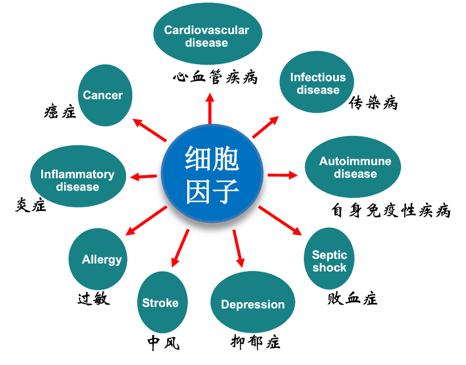 产品详情1.jpg